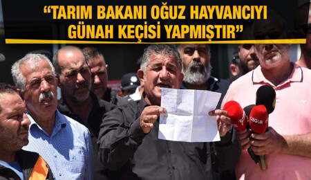 Mustafa Naimoğulları: Herkese serbest piyasa, hayvancıya terbiye