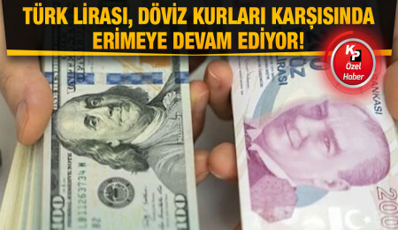 Türk Lirası'nın değer kaybı ve yüksek enflasyon oranları son 5 yıla damga vurdu!