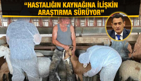 Dursun Oğuz: Koyun-keçi hastalığının Güney’den kaçak gelen hayvanlardan bulaştığı iddiası doğru değil