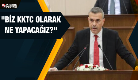 Teberrüken Uluçay: Şimşek'in kabinede görev alması ekonomiyi olumlu yönde etkileyecek