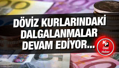 Türkiye’deki para politikasındaki belirsizlikten kaynaklı dövizdeki dalgalanmalar sürüyor!