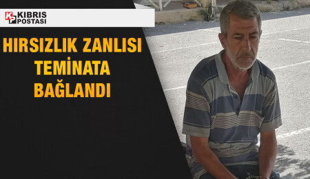 Balıkesir’de çalıştığı iş yerinde hırsızlık yapan Halil Karadeniz teminata bağlandı