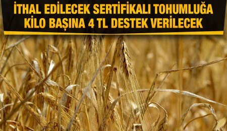 Arpa buğday fiyatları belirlendi: İthal edilecek sertifikalı tohumluğa verilecek destek yükseltildi 