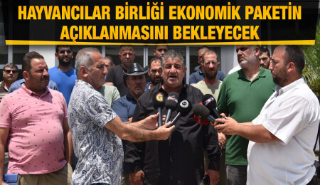 Hayvancılar Birliği ekonomik paketin açıklanmasını bekleyecek