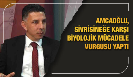 Hüseyin Amcaoğlu: Sivrisinek sorunuyla biyolojik mücadeleyle baş etmeye çalışıyoruz