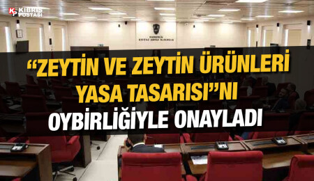 “Zeytin ve Zeytin Ürünleri Yasa Tasarısı” kabul edildi