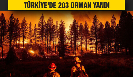 Türkiye'de son 10 günde 203 orman yangını çıktı