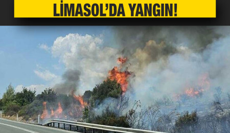 Limasol’un Alasa köyünde yangın çıktı!
