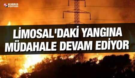 Limasol’un Alassa köyünde çıkan yangın kısmen kontrol altında, mücadele bugün de sürüyor