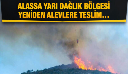 Güney Kıbrıs, Limasol'daki orman yangınıyla mücadele için bölge ülkelerinden yardım istedi