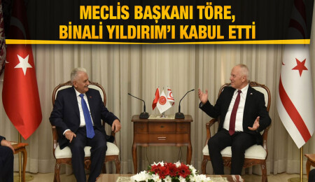 Zorlu Töre: Kıbrıs Türkü'nün ufku ve ülküsü Türkiye halkı ile aynı