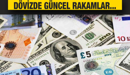 Döviz kurlarında güncel rakamlar: Sterlin 33,60 liradan güne başladı