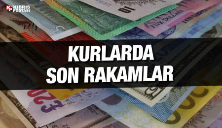 Döviz kurlarında son durum: Sterlin 33,55 liradan işlem görüyor