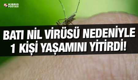 Lefkoşa’da Batı Nil Virüsü nedeniyle 1 kişi hayatını kaybetti