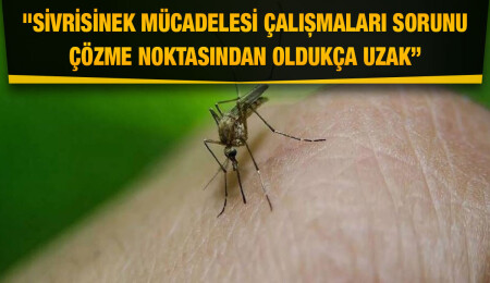 Biyologlar Derneği: Sağlık Bakanlığı, Batı Nil Virüsü’ne rağmen halk sağlığını hiçe sayıyor