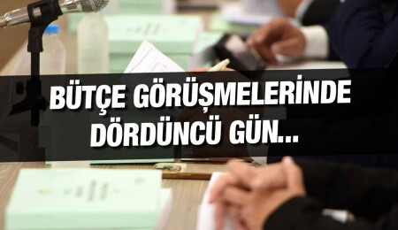 Başbakan Yardımcılığı, Turizm, Kültür, Gençlik ve Çevre Bakanlığı bütçesi Komite’de görüşülüyor