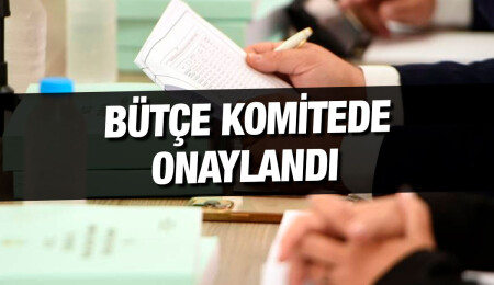 TÜK bütçesi komiteden geçti