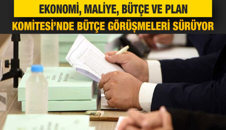 Komitede Sağlık Bakanlığı bütçesi görüşülüyor