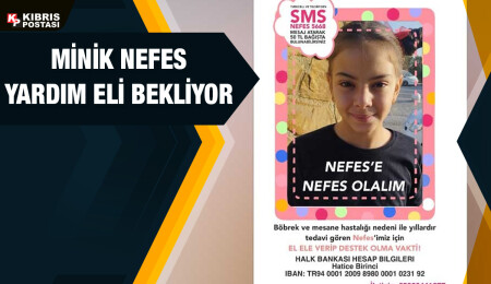 Küçük Nefes yardım bekliyor
