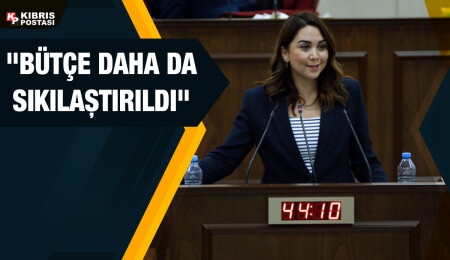 Ayşegül Baybars: Ülkenin kendi ayakları üzerinde durabileceği gelir artırıcı projeler üretilmeli