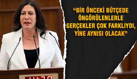 Sıla Usar İncirli: Bütçe süslü sözlerle güç kazanmayacak