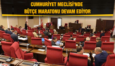 Meclis’te bugün Bayındırlık ve Ulaştırma Bakanlığı ile Dışişleri Bakanlığı bütçeleri ele alınacak