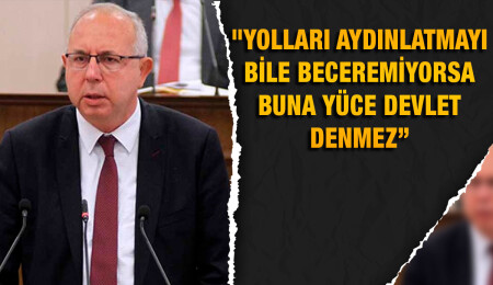 Ceyhun Birinci: Ülkeye kaç sol direksiyonlu araç girdi ve bu araçlara neden izin verildi?