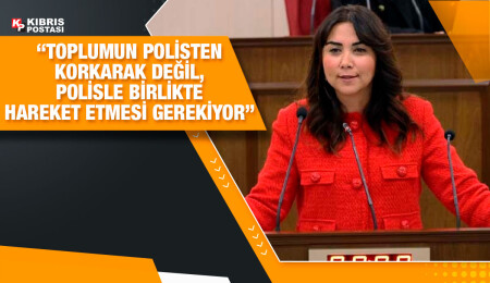 Ayşegül Baybars: Polis yalnız kaldı ve suçu önleyici politikalar ortaya koyması mümkün değil