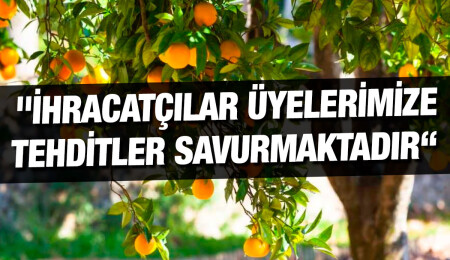 Narenciye Kesim Ekipleri Birliği’nin grevi devam ediyor