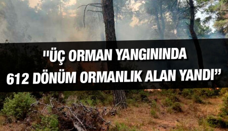 2023'te 544 yangın meydana geldi