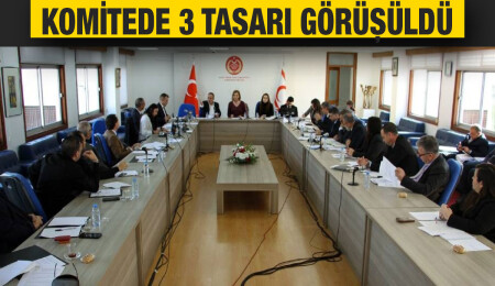 Ekonomi, Maliye, Bütçe ve Plan Komitesi üç tasarıyı görüştü