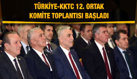 TİM Başkan Vekili Ahmet Güleç, Lefkoşa'da konuştu: Karşılıklı ticaretimizi daha da artırmalıyız