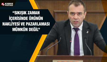 Salahi Şahiner: Narenciye sektörü keşmekeşe döndü