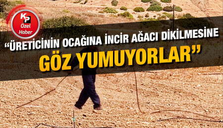 Pınar Ener: Traktörüm, sabanım ve tırmığım yok... Zehirsiz, kimyasal gübresiz, doğanın ritmini bozmadan...