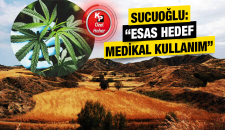 Hükümet endüstriyel Hint Keneviri üretimi için kolları sıvadı: “Yasal çalışma Savcılığa gönderiliyor”