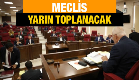 Meclis Genel Kurulu yarın toplanacak