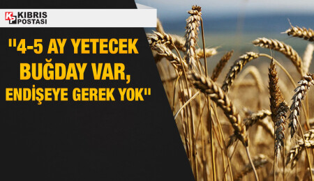 Tarım Bakanı Müsteşarı Deveci: “Ekmeklik buğday ihtiyacıyla ilgili sıkıntı bulunmuyor”