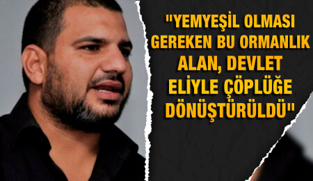 Hasan Sarpten: Ormandı çöplük oldu, şimdi yanıyor