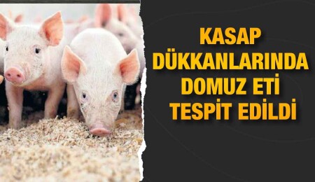 Kasapta 321 kilo domuz eti tespit edildi