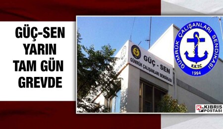 Güç-Sen yarın tam gün greve gidecek