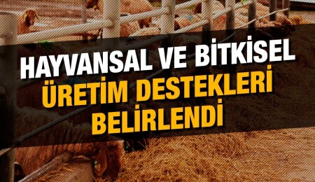 2022 yılı tarımsal destek miktar ve yöntemleri belirlendi
