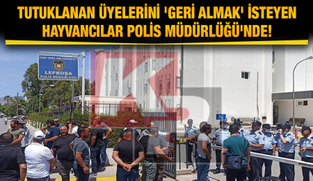 Tutuklanan eylemciler serbest bırakıldı