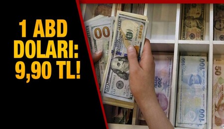 Dolar zirveyi yeniledi: 9,90 TL!