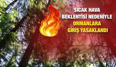 Ormanlık alanlara girişler izne tabi