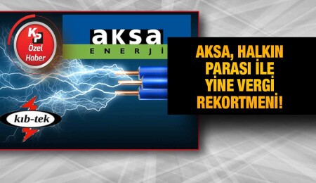 Tek müşterisi KIB-TEK olan AKSA, yine vergi rekortmeni oldu