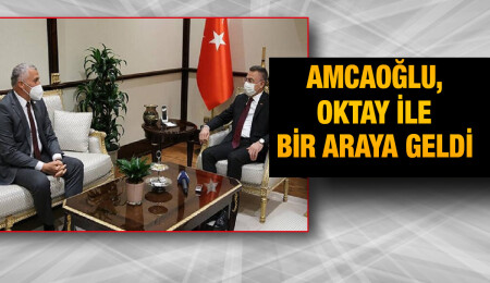 Olgun Amcaoğlu, Fuat Oktay tarafından kabul edildi