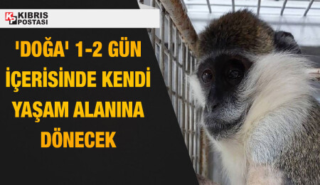 ‘Doğa’ tamamen iyileşti...