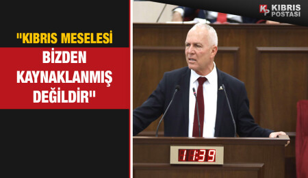 Zorlu Töre: "Rumlar, Annan Planı'na evet deseydi, 'Mavi Vatan' söylemi havada kalacaktı"