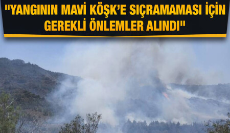 Sivil Savunma Teşkilatı Başkanı Karaca: Alevler geniş bir alana yayıldı, keşif yapılıyor, önünü alacağız
