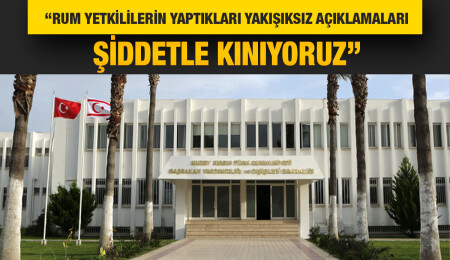 Dışişleri Bakanlığı, Liane den Haan’ı eleştirenleri kınadı